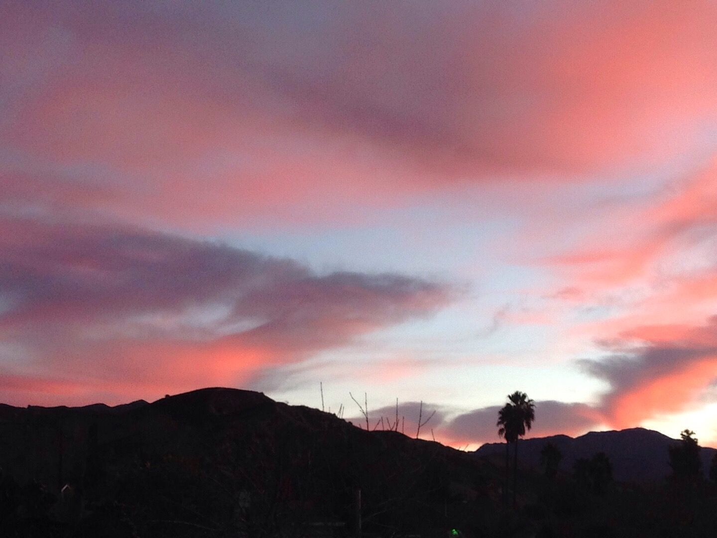 Vibrant pink and purple sunset sky over mountain silhouettes with a palm tree in the foreground.