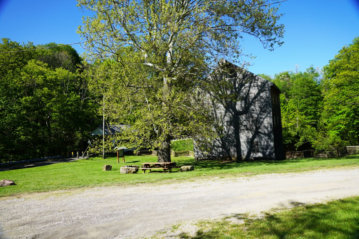 Sunny green lawn with picnic tables beside a large historic stone building shaded by a tall leafy tree.
