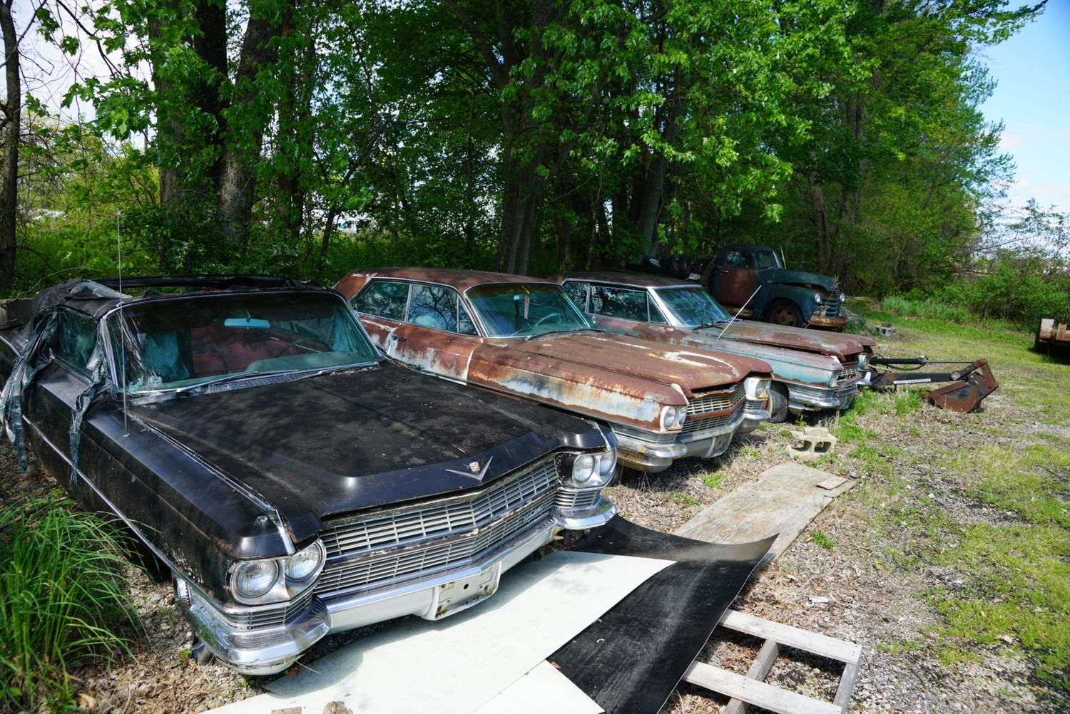 Row of abandoned vintage Cadillac cars rusting in an overgrown outdoor junkyard under trees.