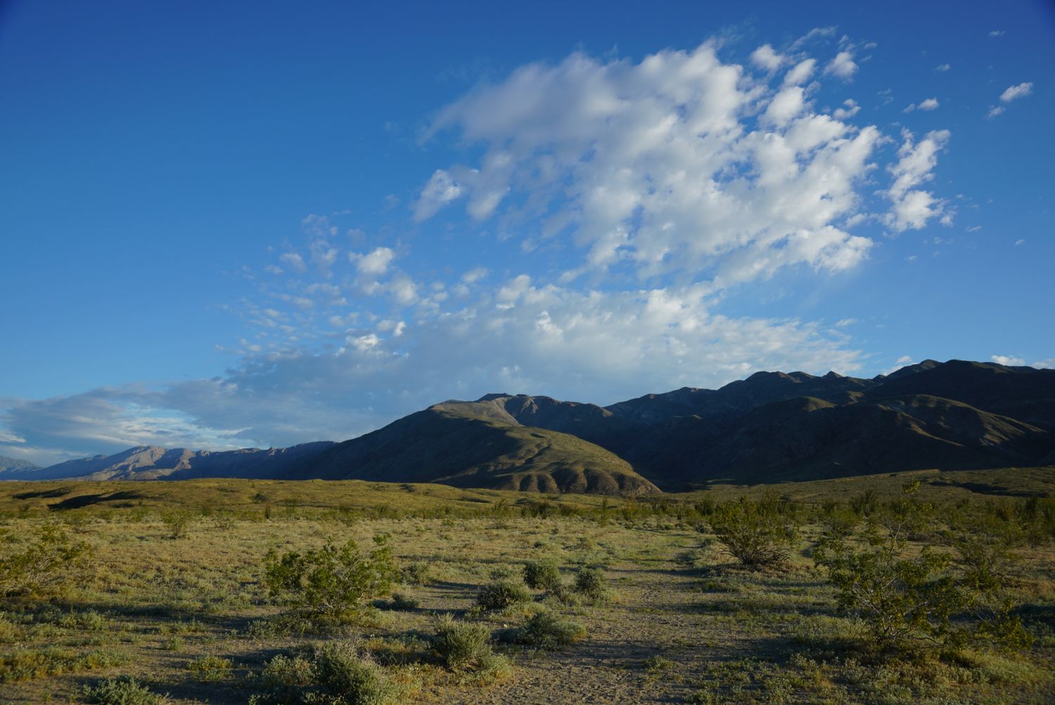 Expansive desert landscape with sparse shrubs beneath a blue sky with wispy clouds and distant mountains.