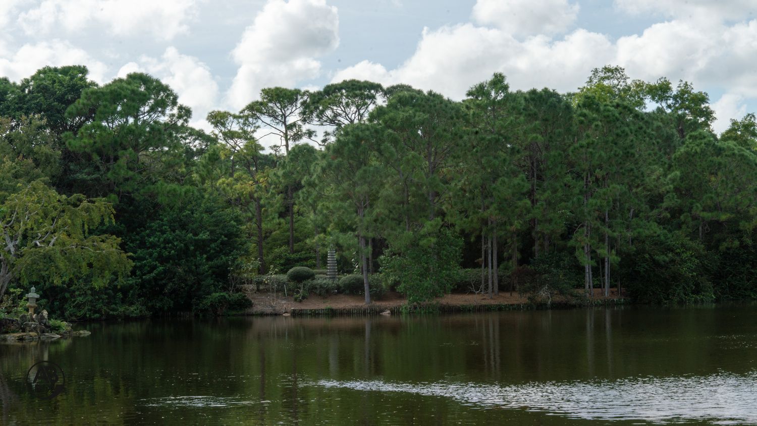 Lush green trees reflected in calm water on a sunny day with clouds.