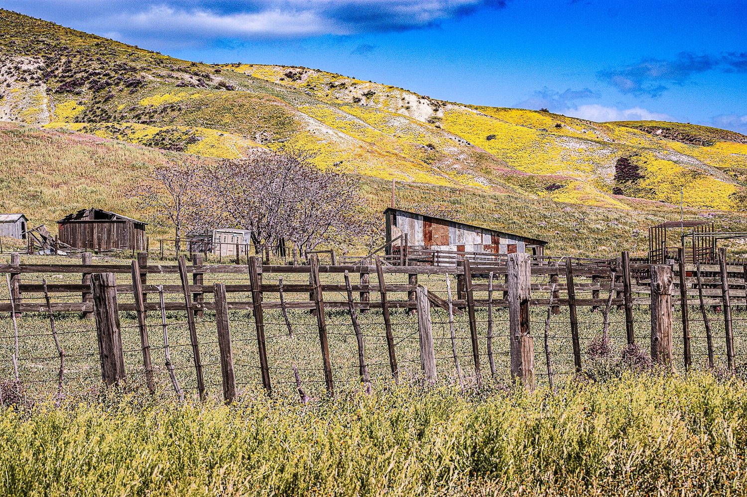 Rustic wooden farm fence and old barn on a hillside with yellow wildflowers blooming under a blue sky.