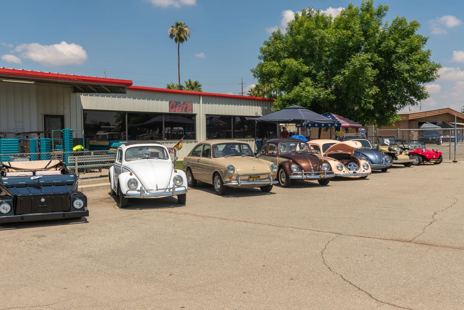 A row of classic Volkswagen Beetles and vintage cars parked outside a shop on a sunny day.