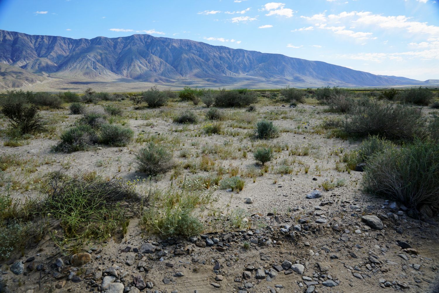 Sparse desert scrubland with rocky terrain and dramatic mountain range backdrop under a partly cloudy blue sky.
