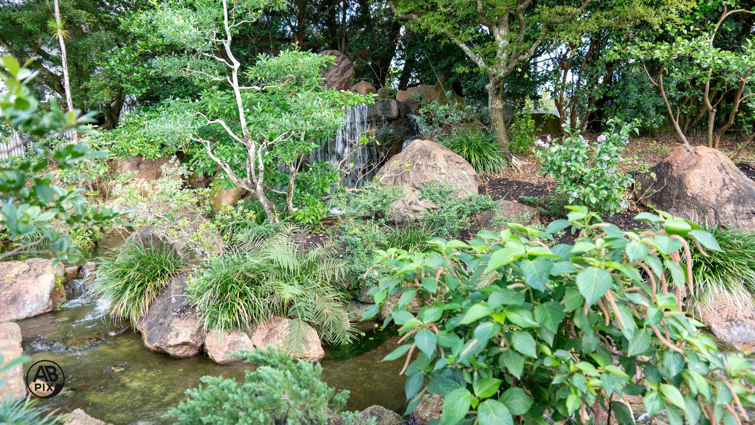 Serene Japanese garden with rocky stream, lush greenery, and layered stone landscape features.