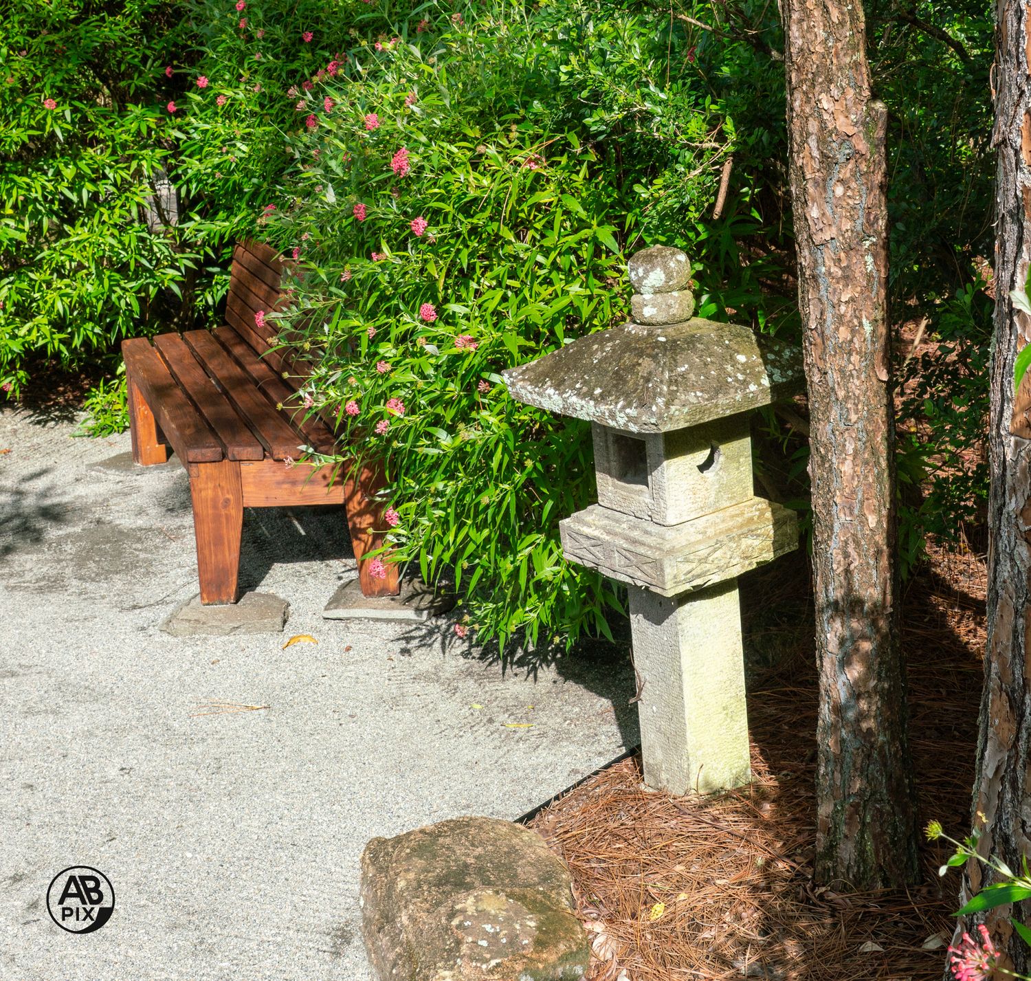 Japanese stone lantern beside a wooden bench surrounded by lush greenery in a serene garden path.