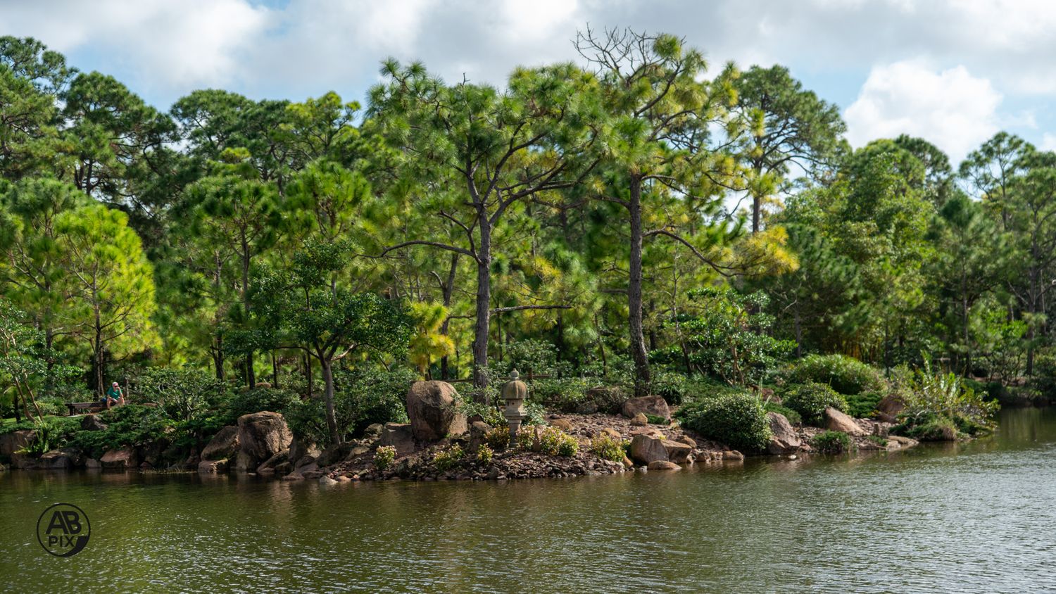 Rocky shoreline with tall pine and oak trees lining a calm lake under a cloudy sky.