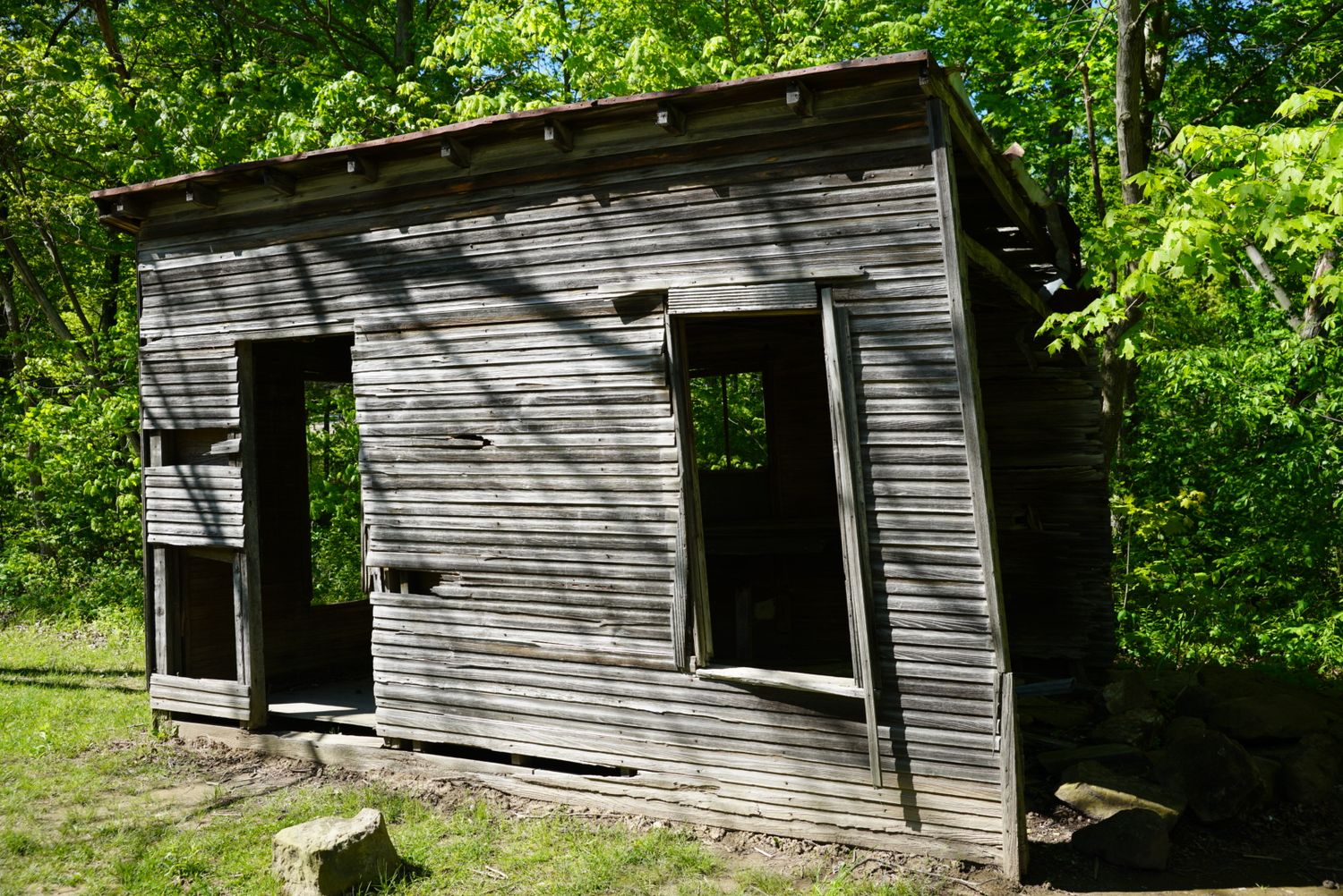 An abandoned weathered wooden shed with open doorways surrounded by dense green forest trees in a rural setting.