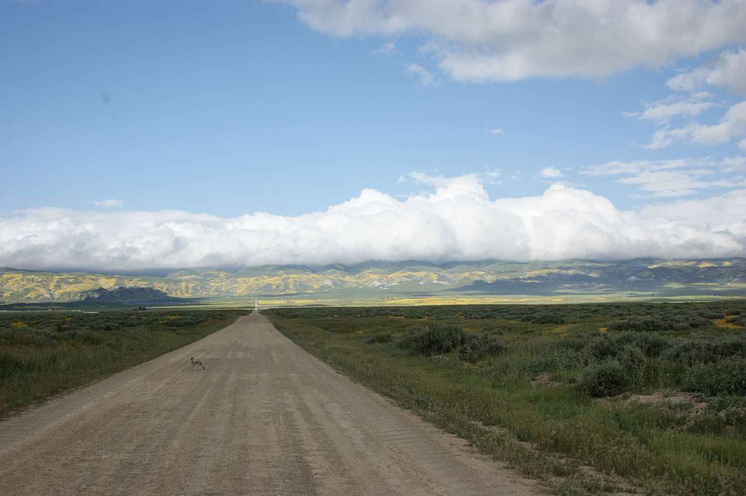 Long straight gravel road stretching toward distant green hills and mountains under a bright blue sky with white clouds.