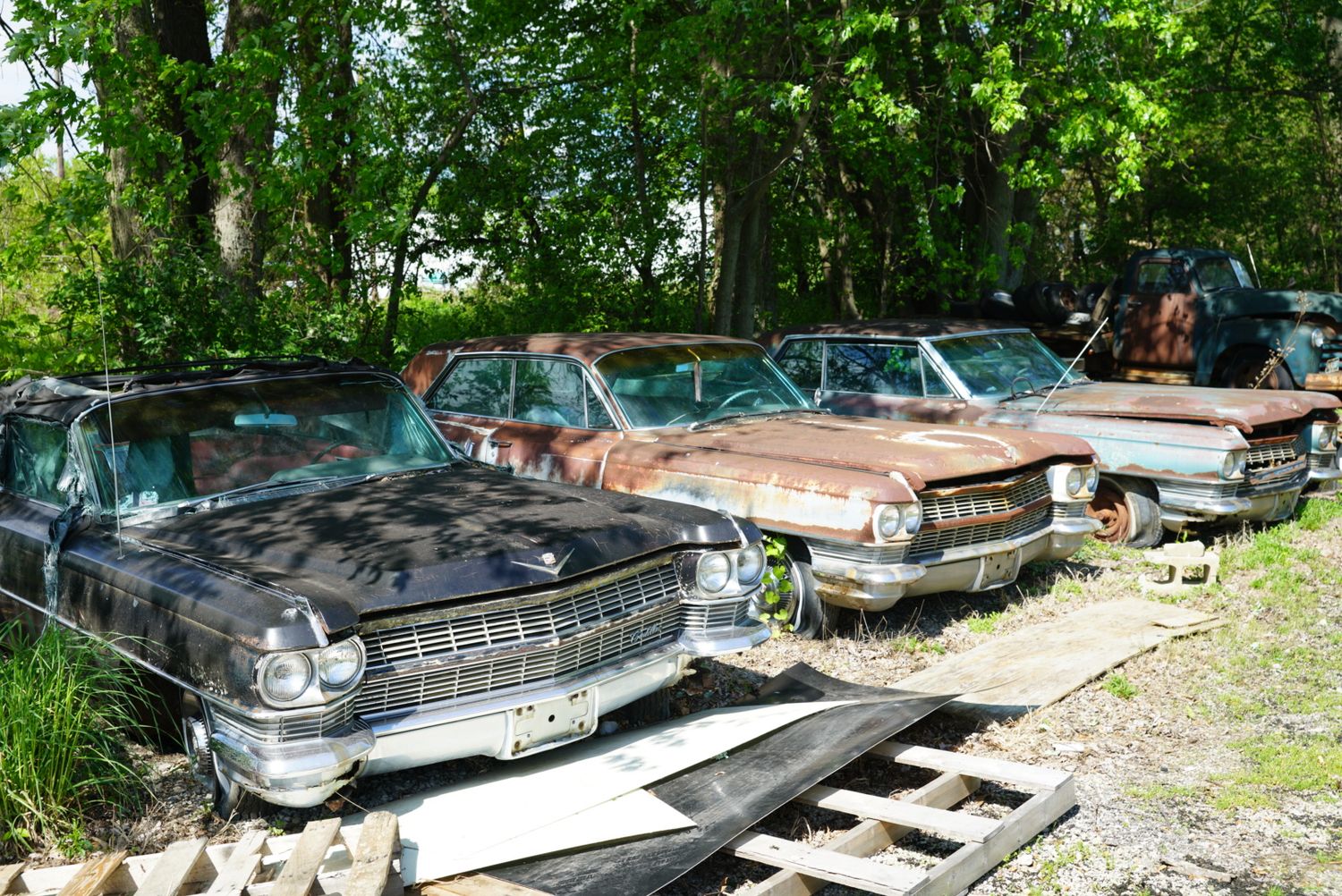 Row of abandoned rusty vintage Cadillac cars deteriorating in an outdoor junkyard surrounded by green trees.