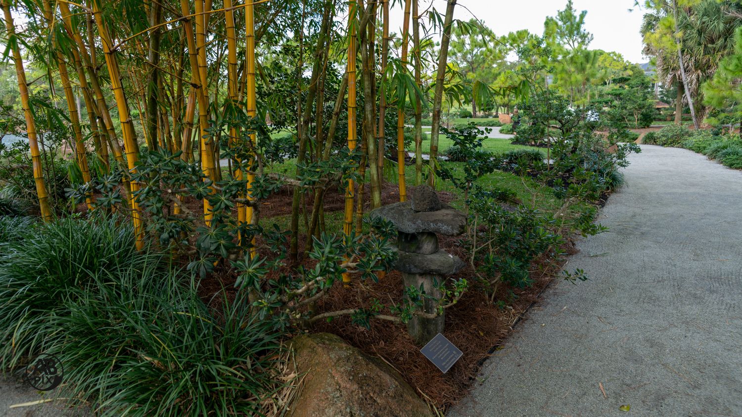 Golden bamboo and tropical plants line a gravel garden path at dusk.