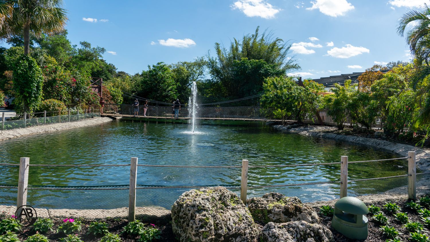 Ornamental garden pond with a central water fountain surrounded by tropical plants and blue sky.