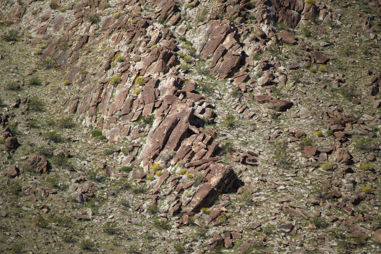 Rocky reddish-brown cliff face with sparse green desert vegetation growing between jagged boulders.