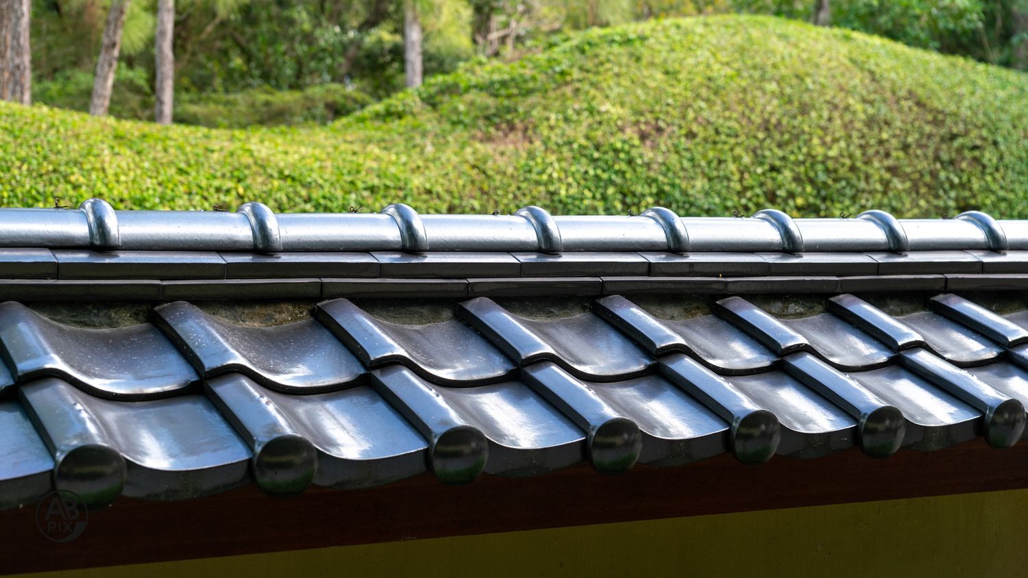 Close-up of traditional Japanese curved clay roof tiles with lush green manicured hillside garden in background.