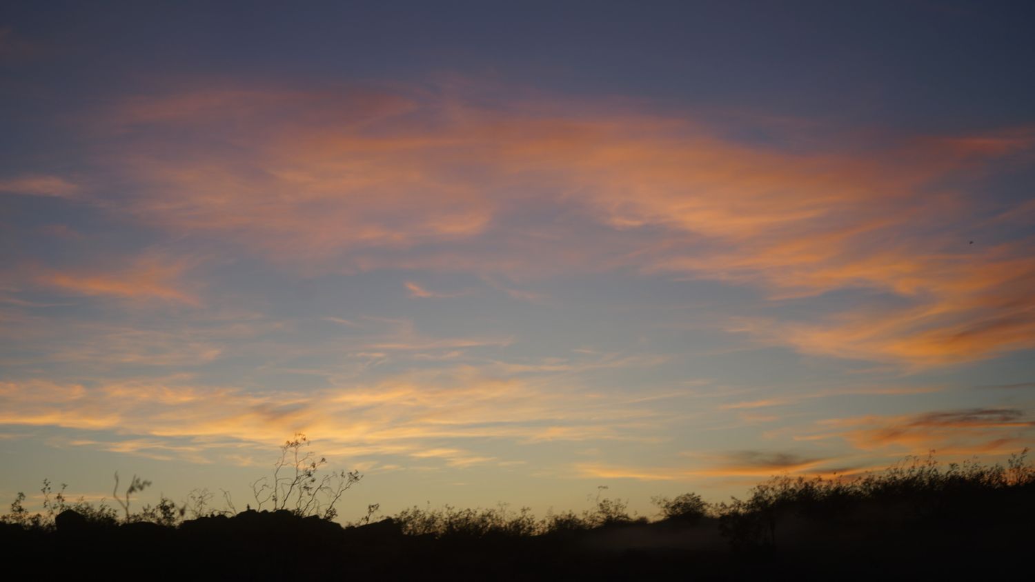 Golden sunset clouds streak across a blue sky above dark silhouetted desert vegetation on the horizon.