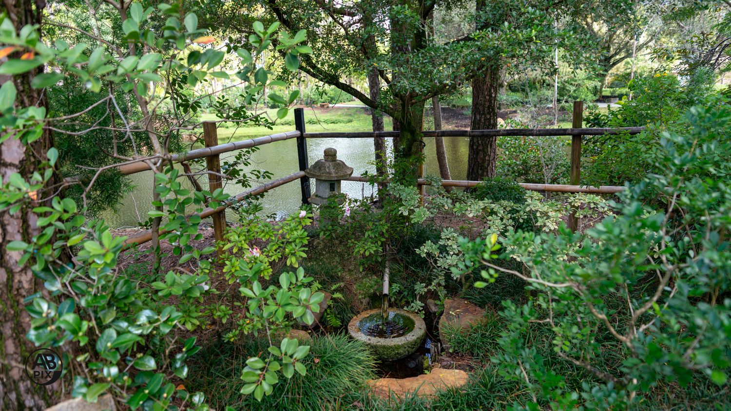 Aerial view of a serene Japanese garden with bonsai and pond beyond wooden fence.