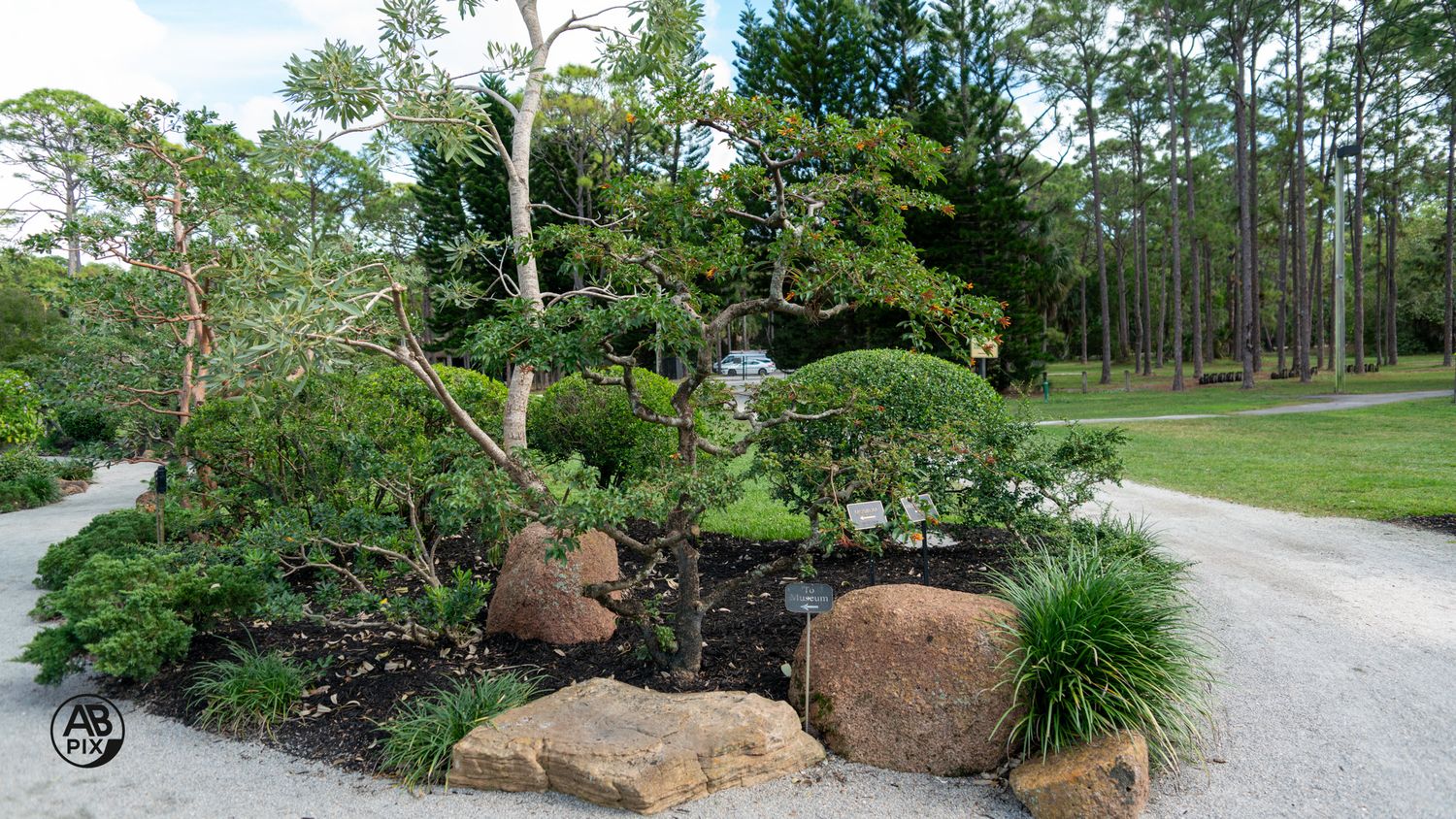 Japanese-style garden with sculpted shrubs, boulders, and a gravel pathway at dusk.