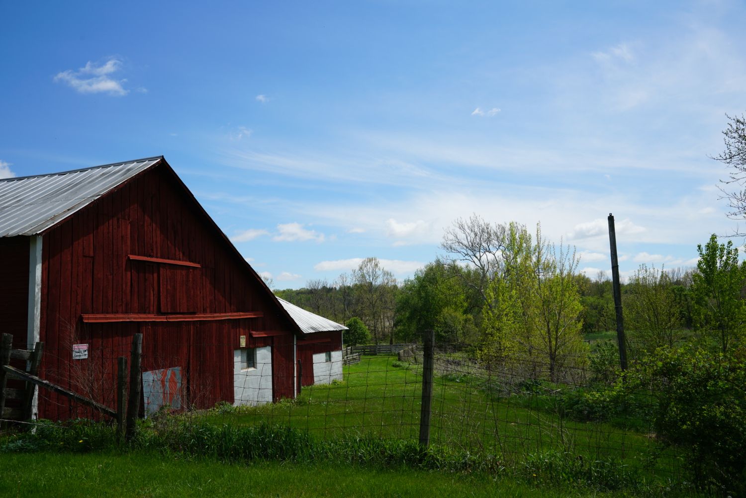 Classic red wooden barn with metal roof beside a wire fence and budding spring trees under blue sky.