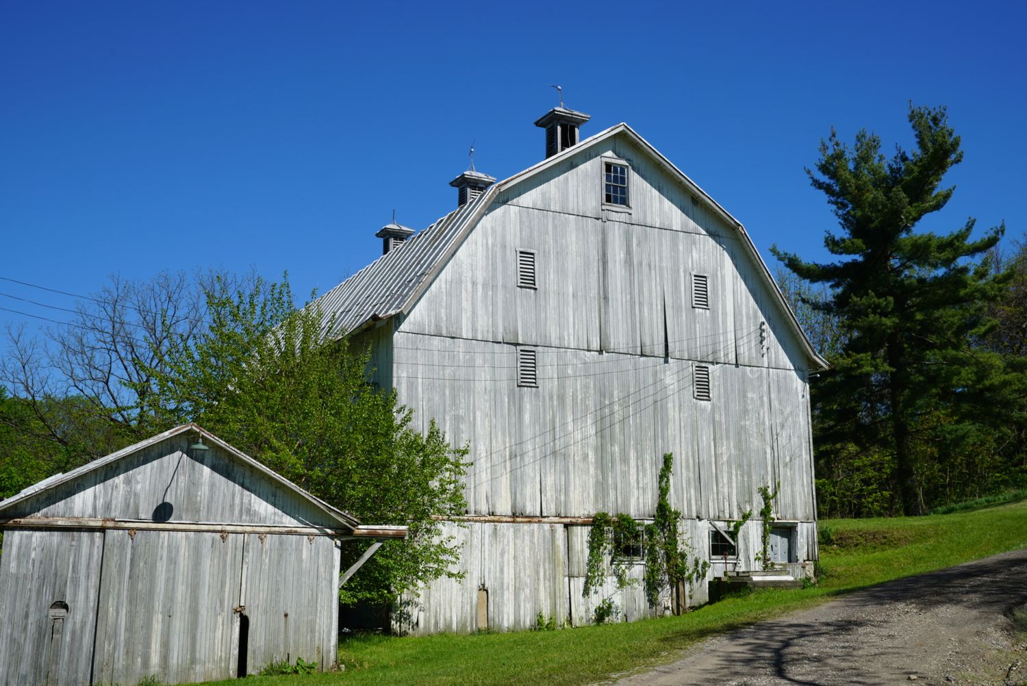 A large weathered white gambrel-roof barn with a small outbuilding beside a gravel driveway under a bright blue sky.
