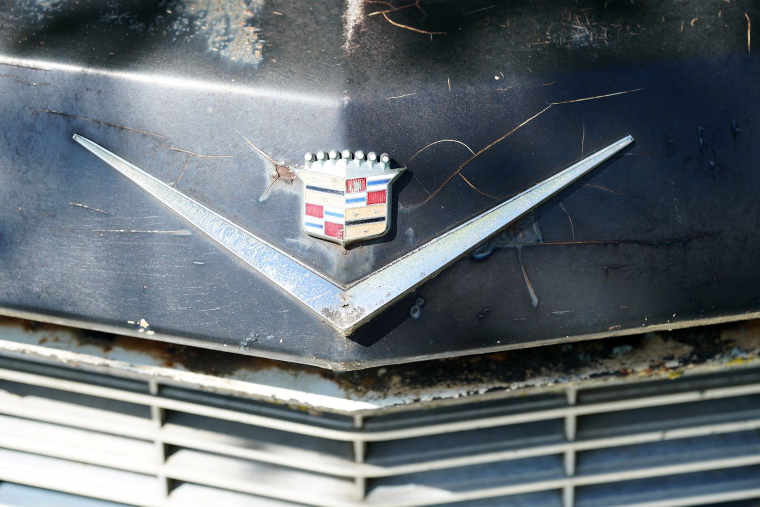 Vintage Cadillac hood ornament and emblem on a weathered black car showing signs of age.