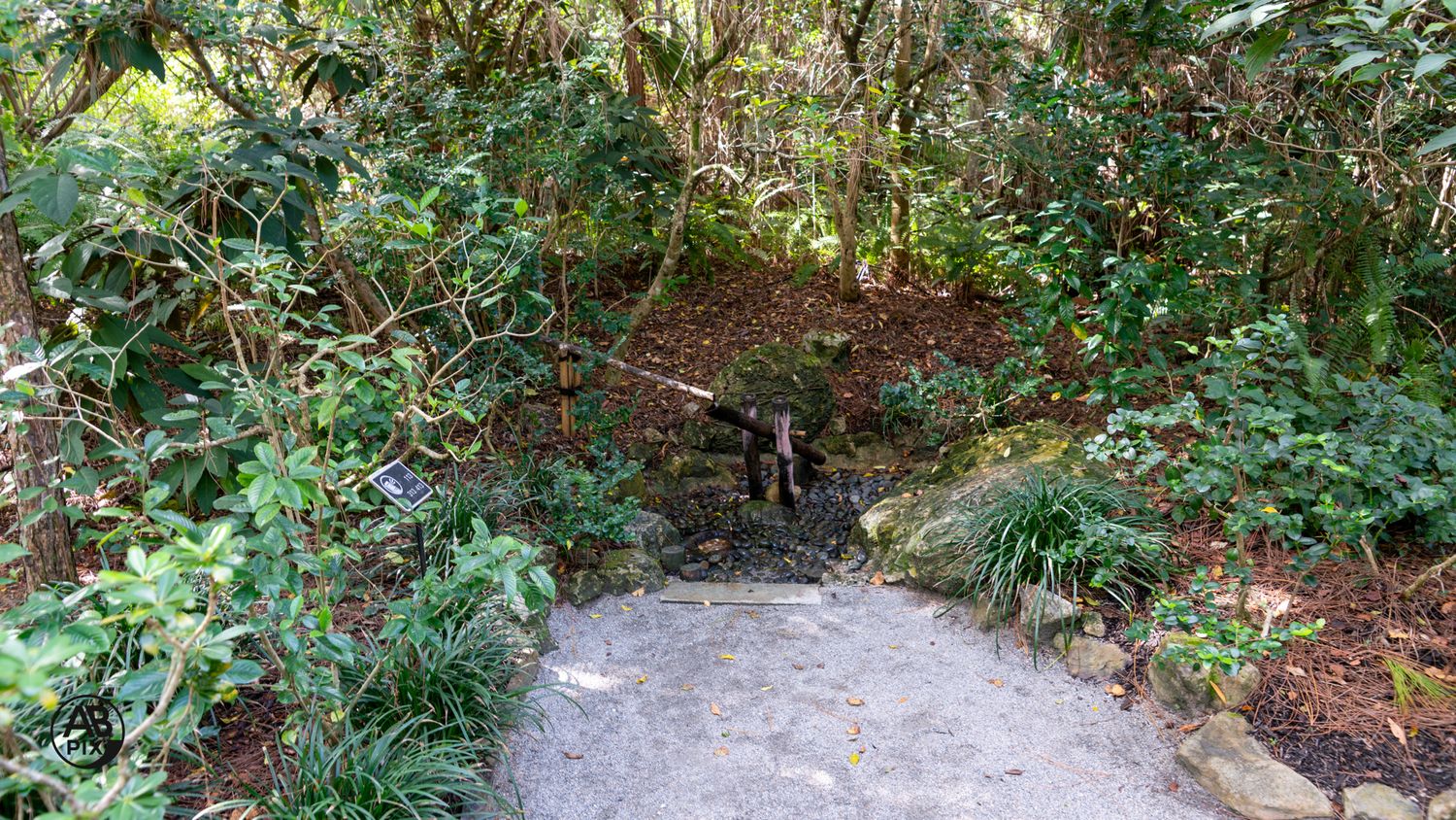 Narrow stone pathway leading through dense lush tropical greenery toward a small water feature in a garden.
