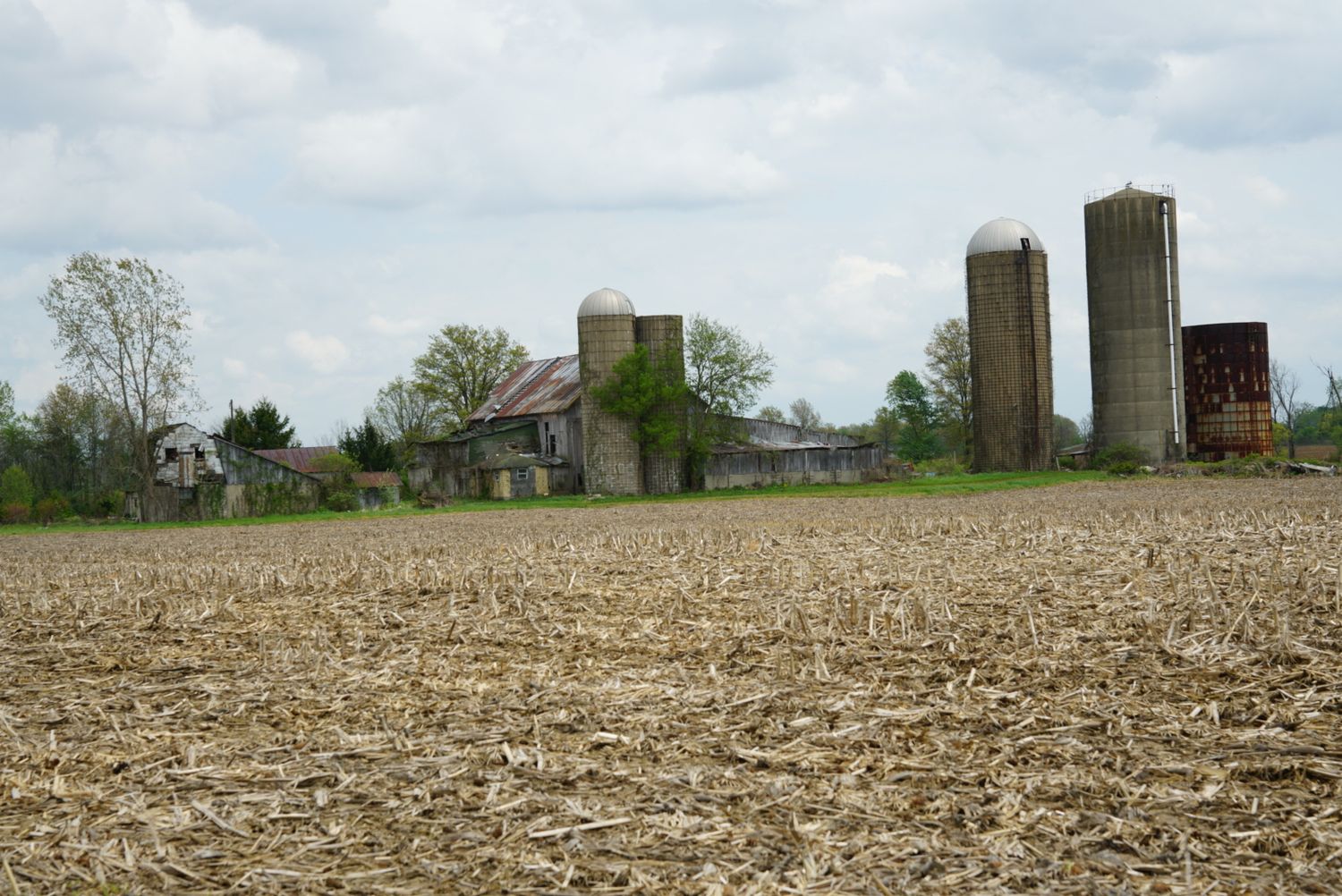 Abandoned farm with weathered barns and grain silos standing over a harvested cornfield under cloudy skies.