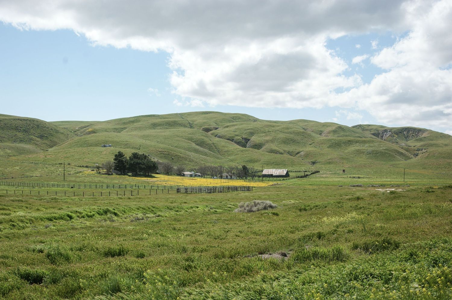 Remote green valley farmstead with yellow wildflowers and rolling hills under cloudy skies.