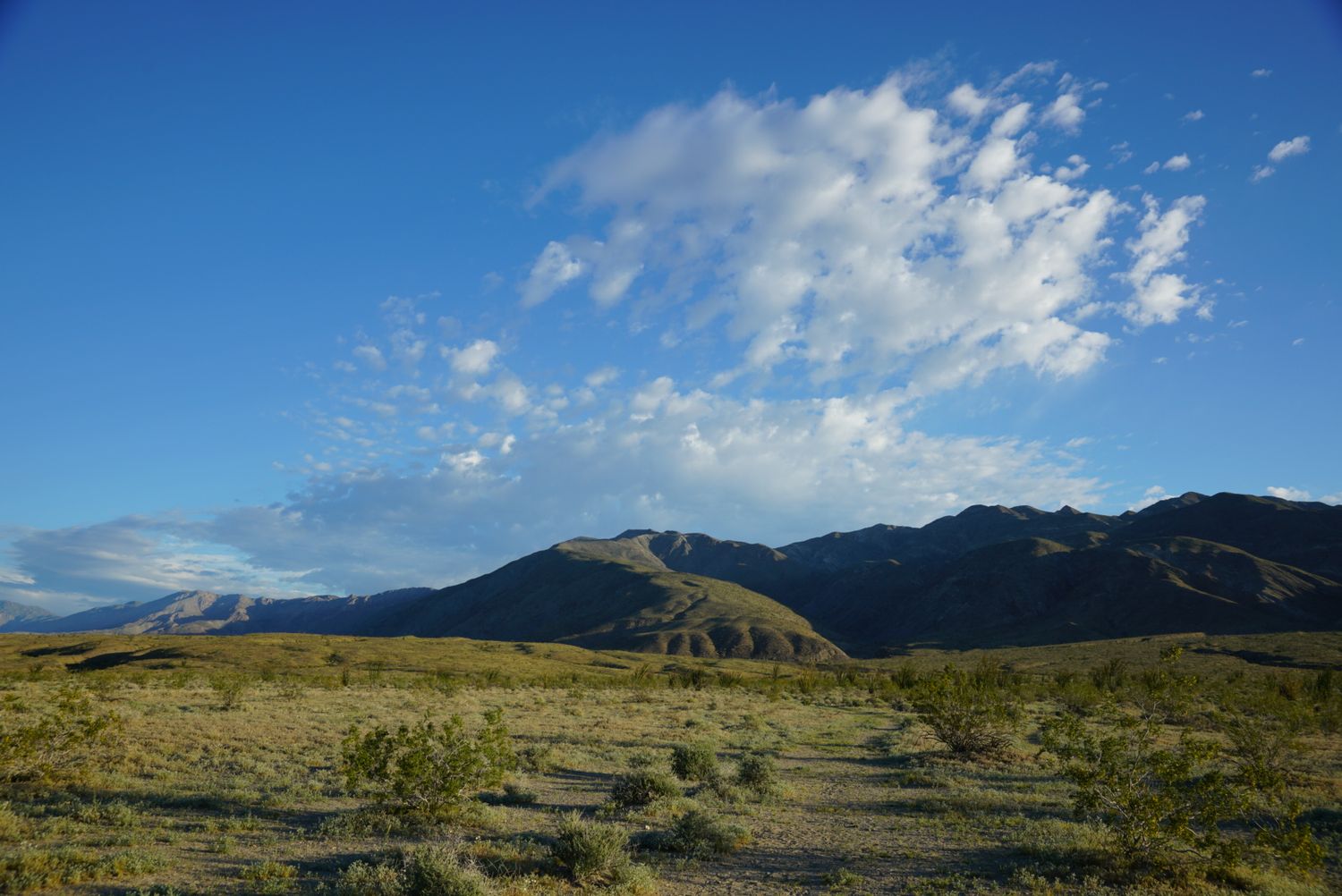 Desert landscape with mountain range under vivid blue sky with white clouds.