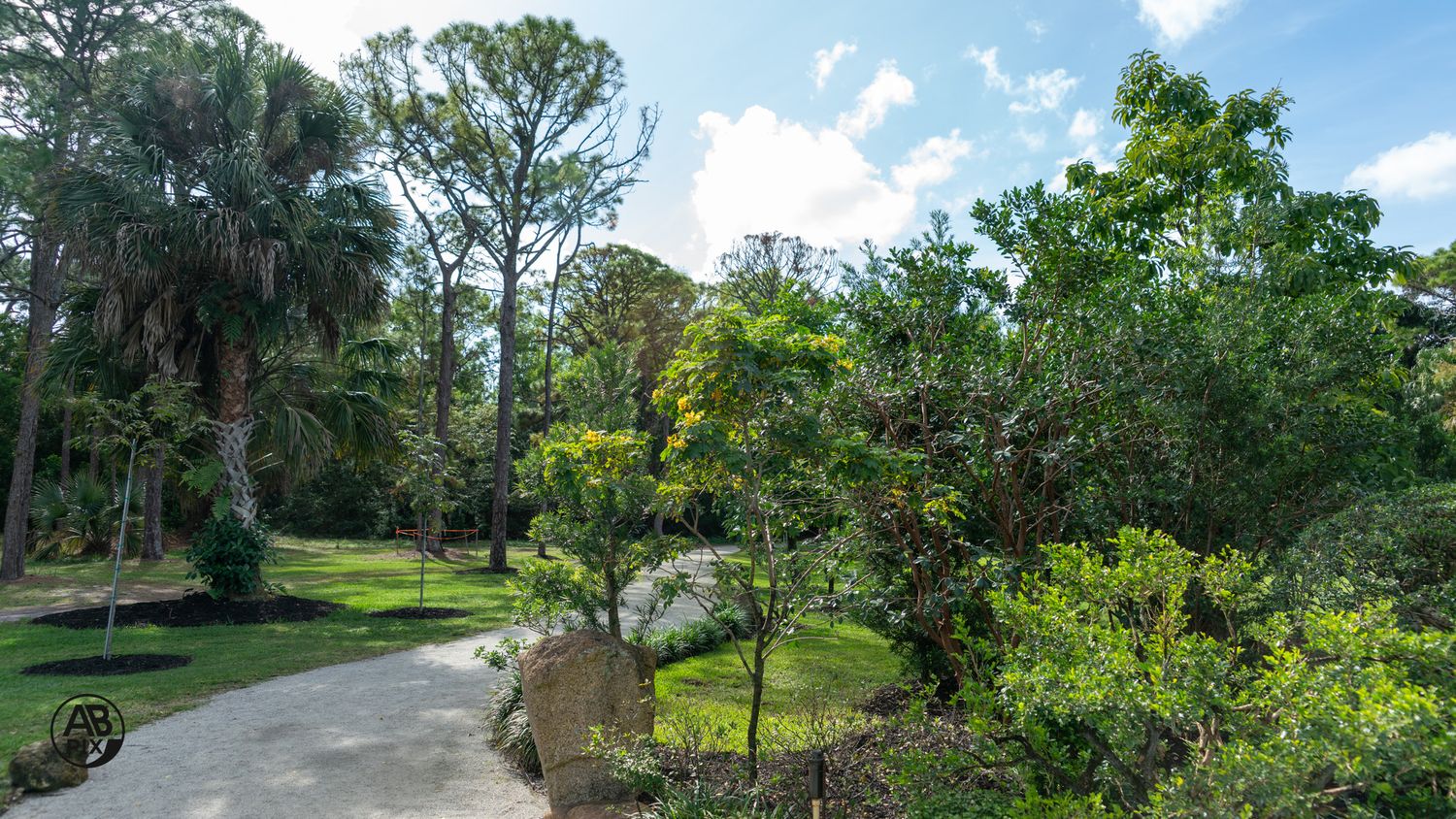 Winding gravel path through a lush tropical botanical garden on a sunny day.