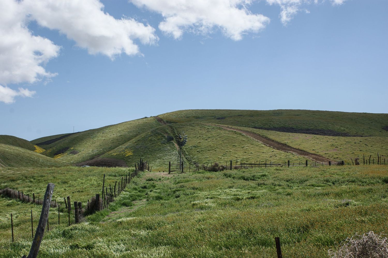 Lush green rolling hills with fence line under partly cloudy blue sky in rural California.