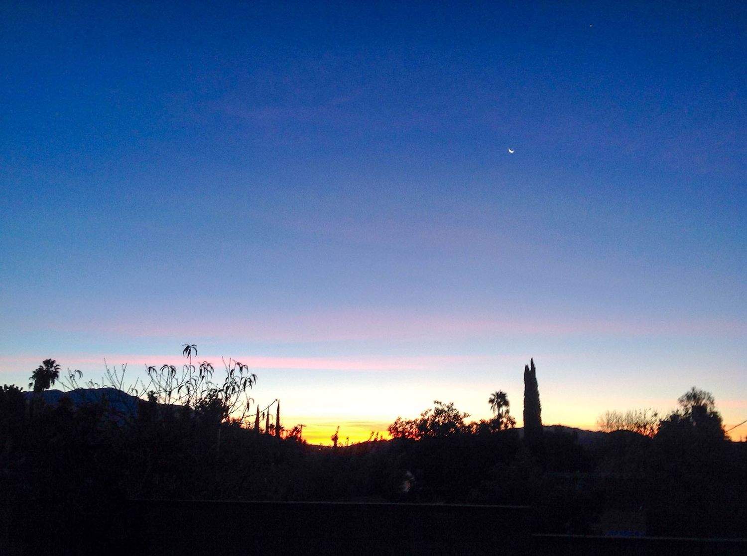 Stunning desert sunset silhouette with cacti and trees against a deep blue and orange sky.