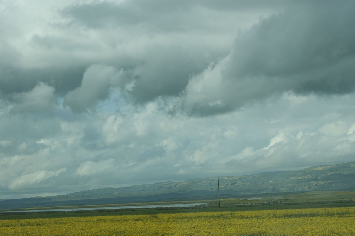 Vast open valley with yellow wildflowers under dramatic stormy gray cloudy sky.
