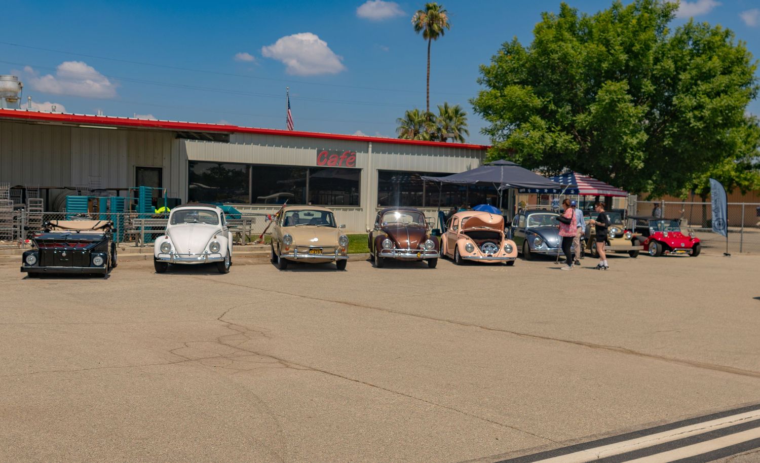 A row of classic Volkswagen Beetles parked in a sunny lot outside a red-roofed building with palm trees.