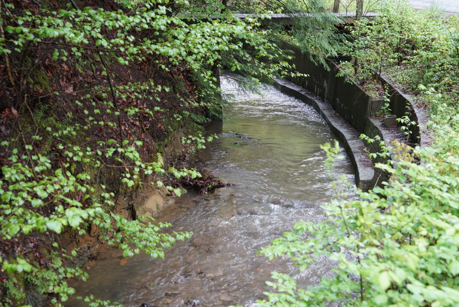A small stream flows under a curved stone and metal water gate surrounded by dense green foliage.