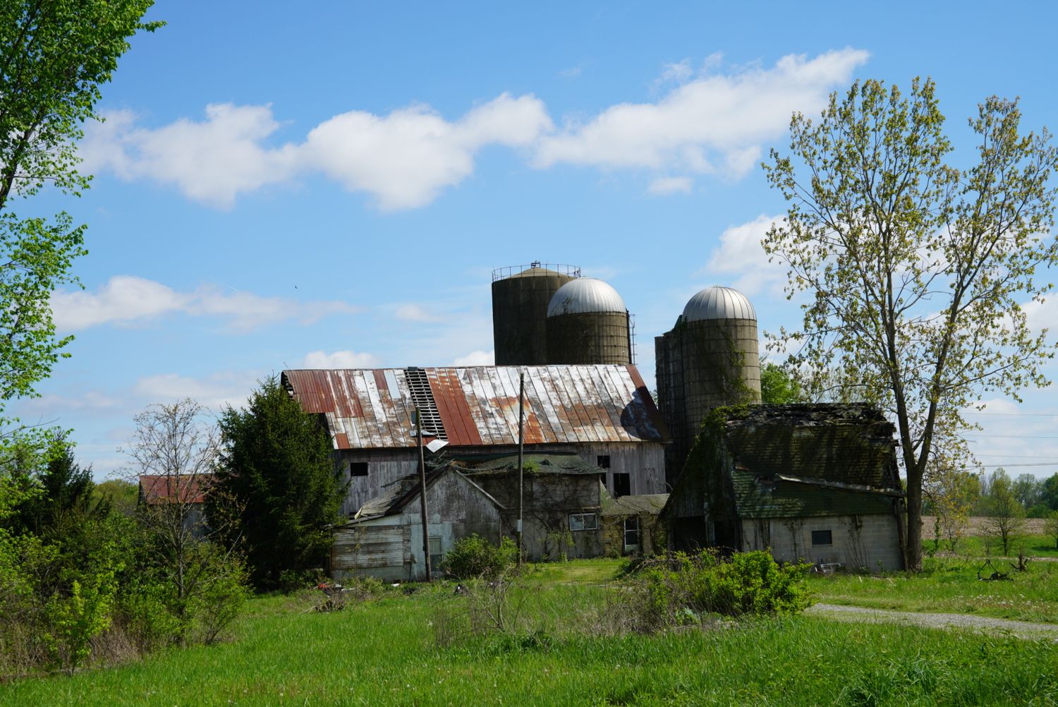 Abandoned rustic farm with deteriorating barn, rusted metal roof, and two concrete silos surrounded by green spring foliage.