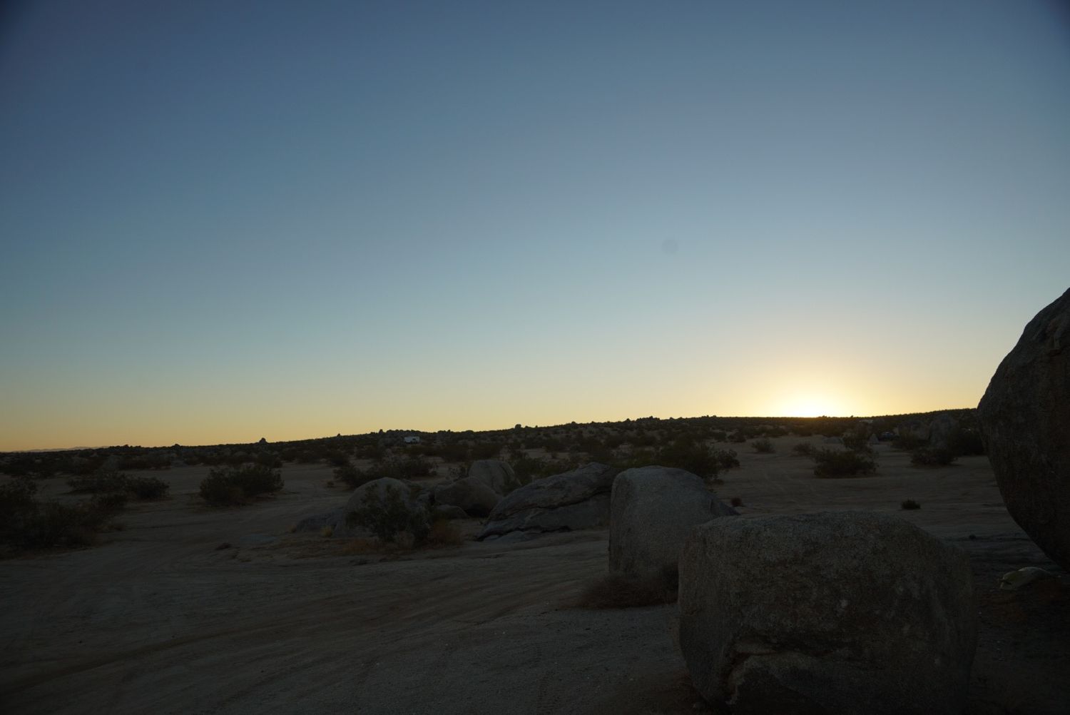 Desert landscape at golden hour sunset with scattered rocks and sparse vegetation.