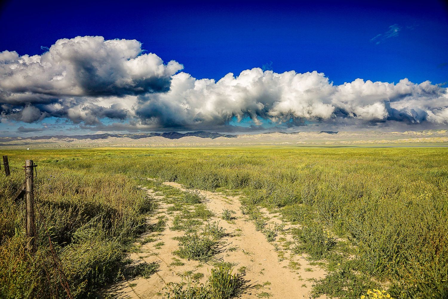 Dramatic cumulus clouds over vast open grassland prairie with a sandy dirt road and fence post.
