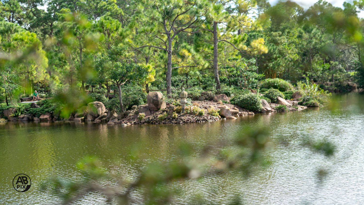 Tranquil lake surrounded by dense green trees and rocky shoreline in a serene natural setting.