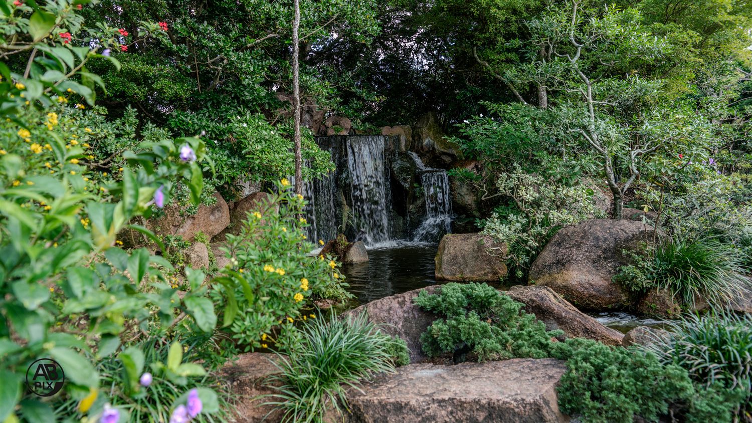 Tranquil garden waterfall cascading over rocks surrounded by colorful flowers and dense foliage.