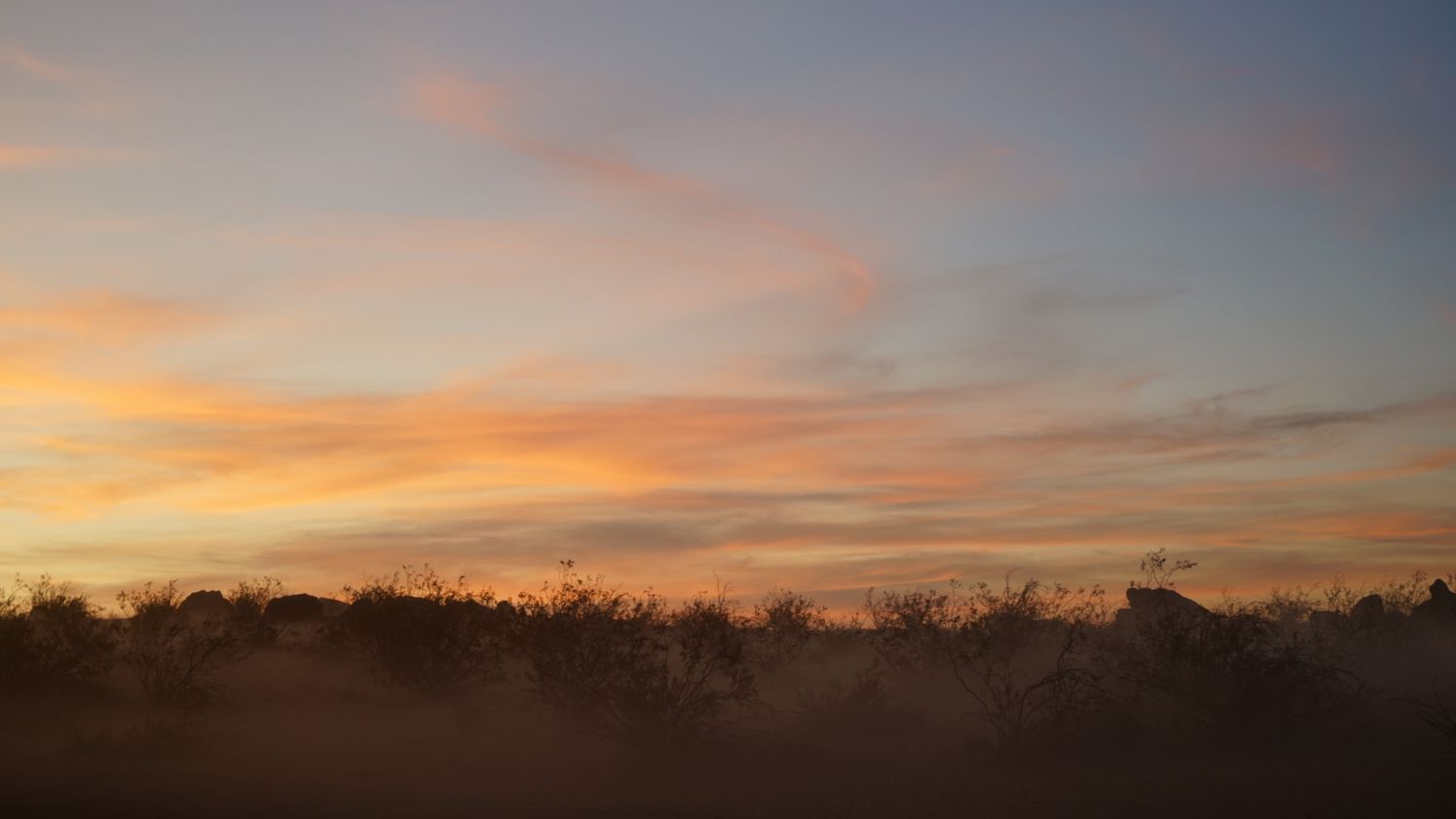 Vibrant desert sunset with orange and pink clouds over silhouetted shrubs and trees in a misty landscape.