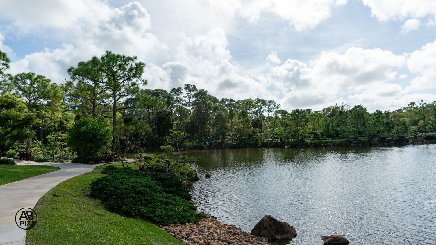 Peaceful lakeside walking path bordered by tall pine trees and rocky shoreline under blue skies.