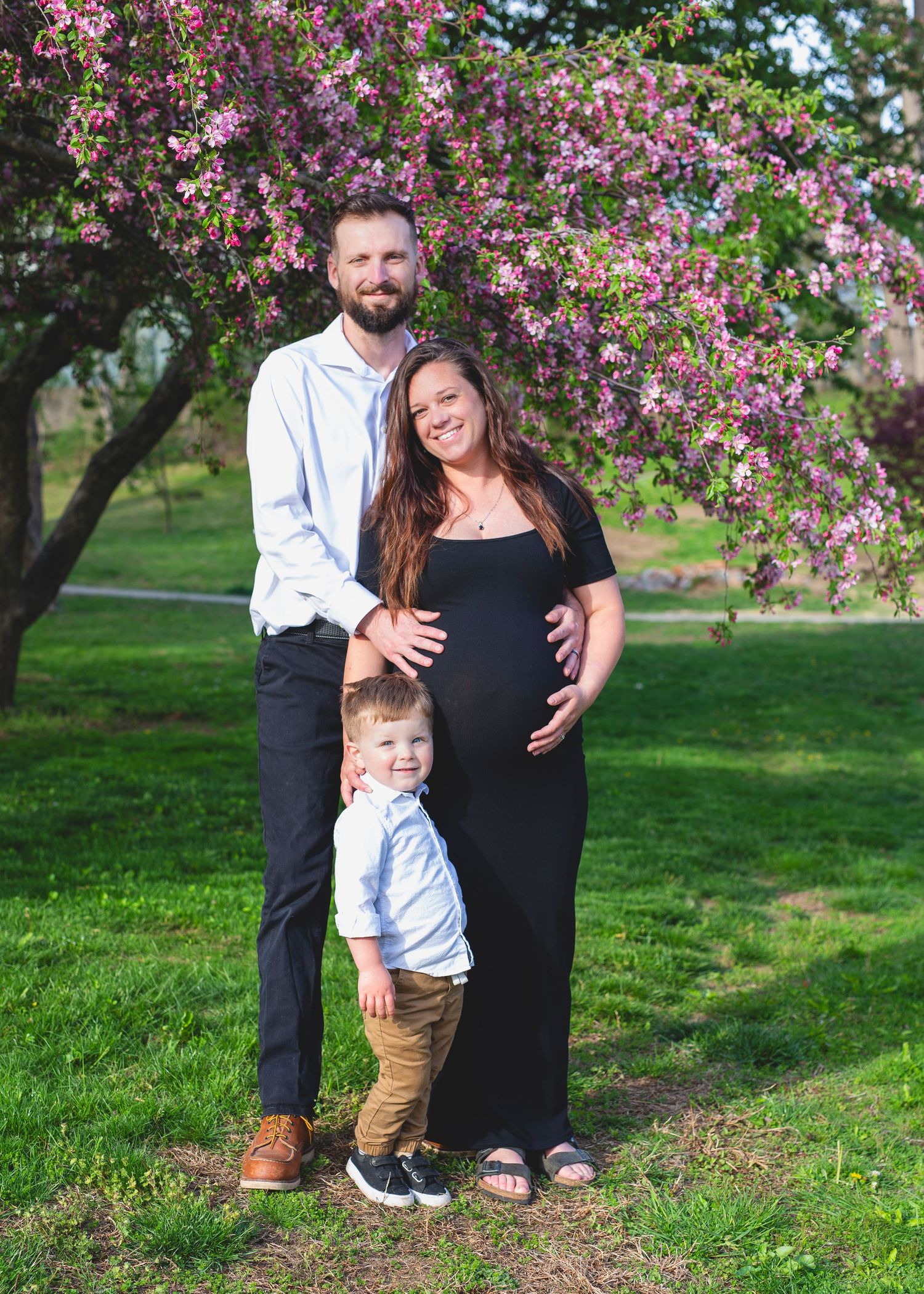 Springtime family portrait session under blooming pink cherry blossom trees on a grassy lawn.
