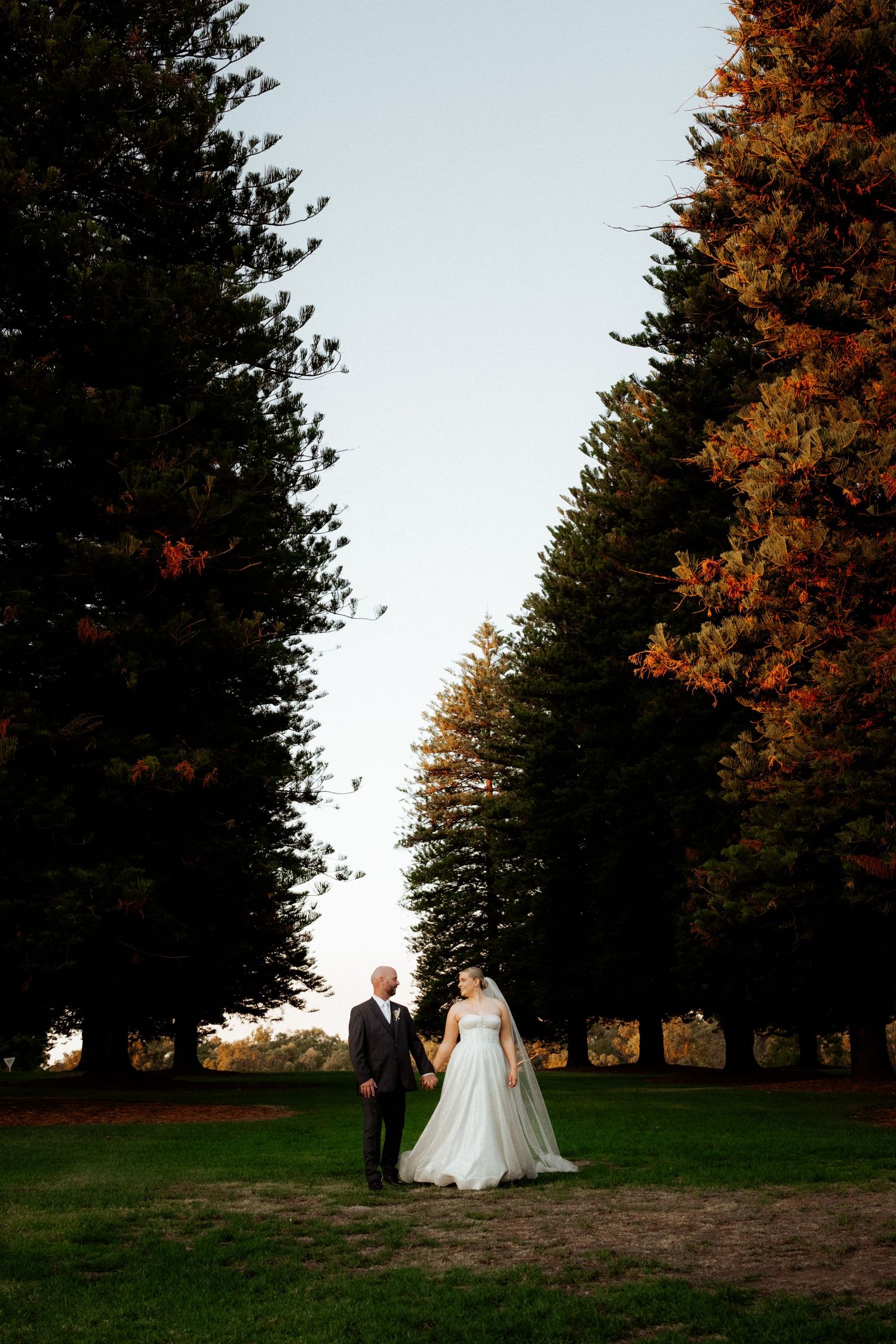Bride and groom holding hands between tall autumn trees on lush green grass during golden hour wedding portrait.