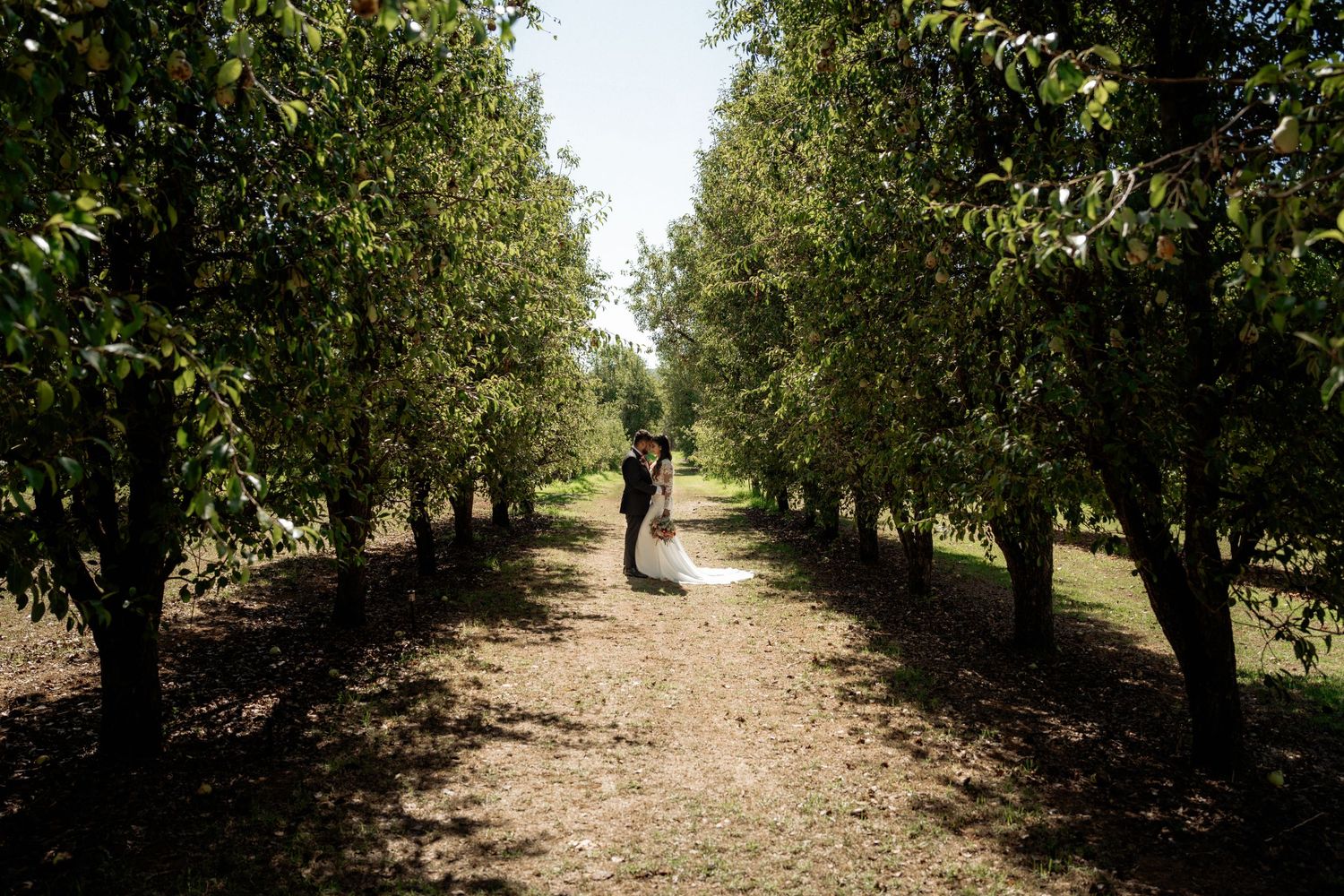 Bride and groom embracing in a sunlit orchard pathway surrounded by lush green trees on their wedding day.