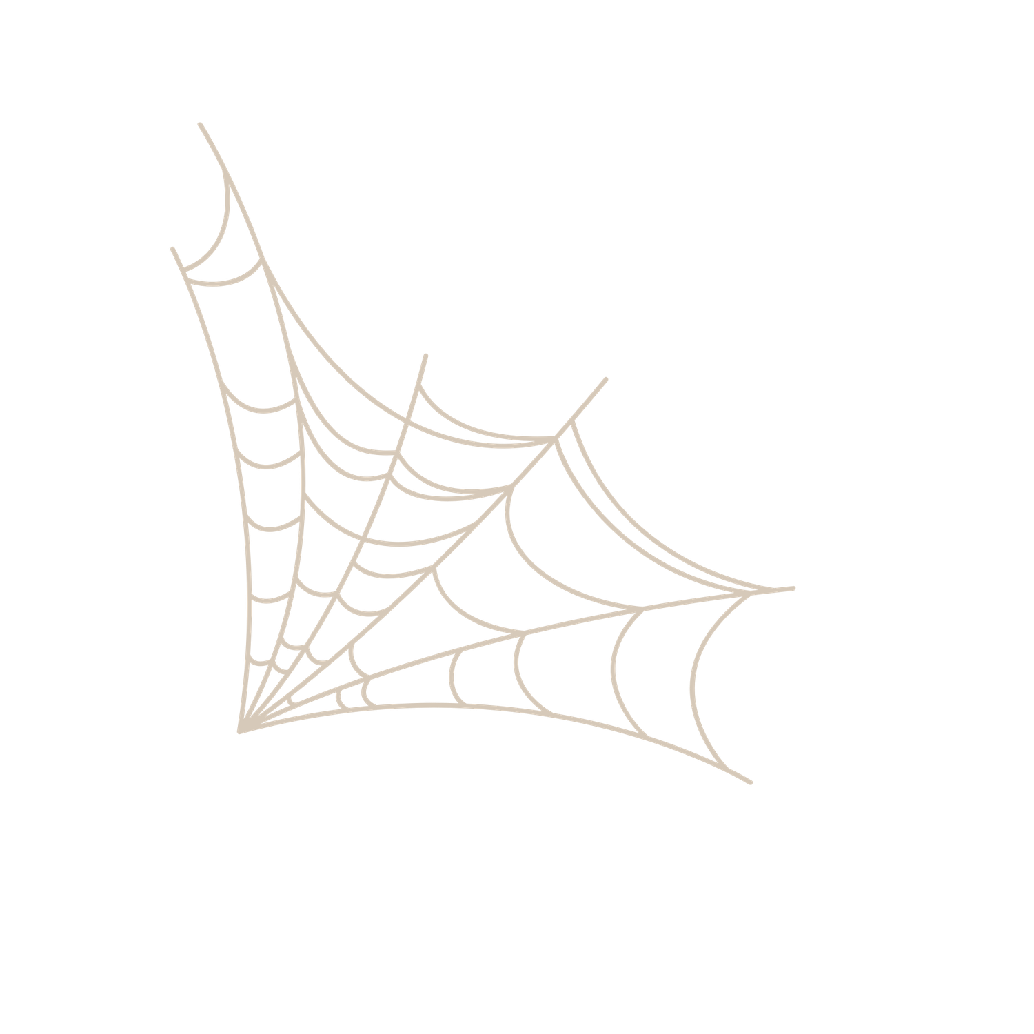 Delicate beige spider web illustration in corner design, perfect for Halloween decorations and autumn themes.
