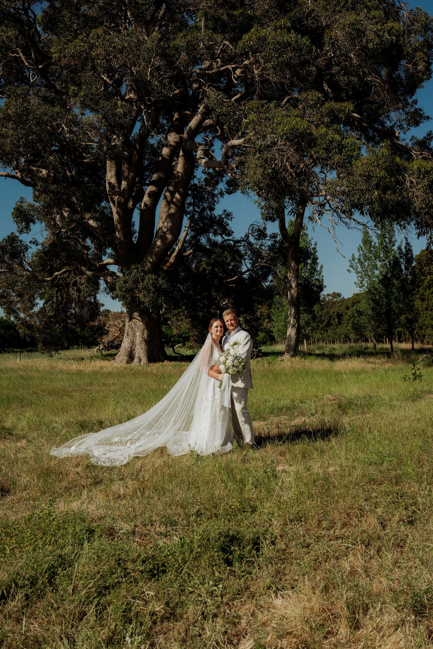 Bride and groom embrace in a sunlit green field with large trees under a clear blue sky on their wedding day.