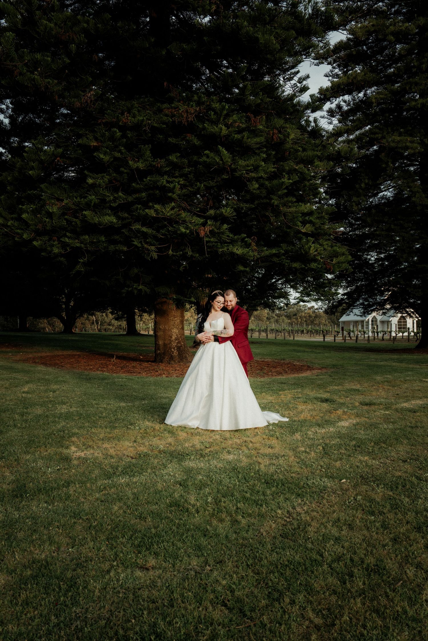 Bride and groom embracing under a large evergreen tree on lush green grass at an outdoor wedding venue.