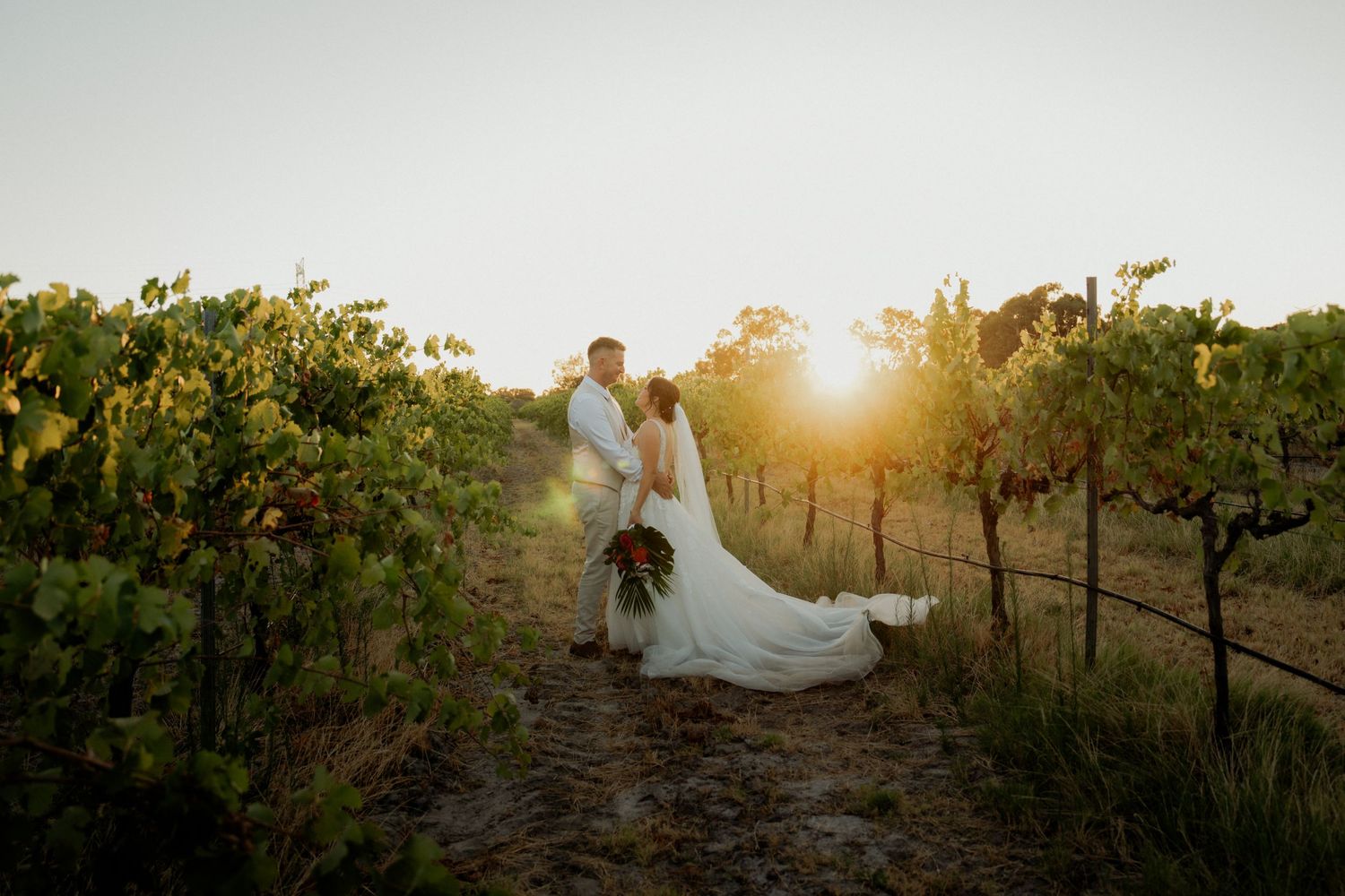 Bride and groom embrace in a sunlit vineyard at golden hour, bride holding a lush bouquet with flowing white gown.
