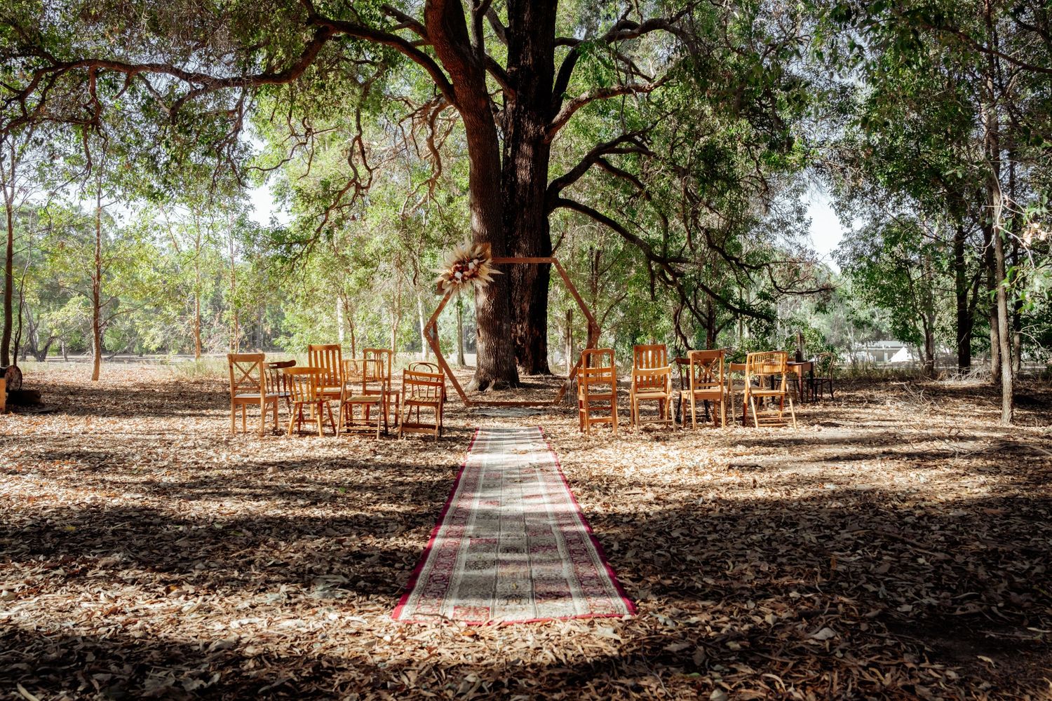 Rows of wooden chairs arranged in a rustic outdoor ceremony space beneath towering oak trees in a shaded forest setting.
