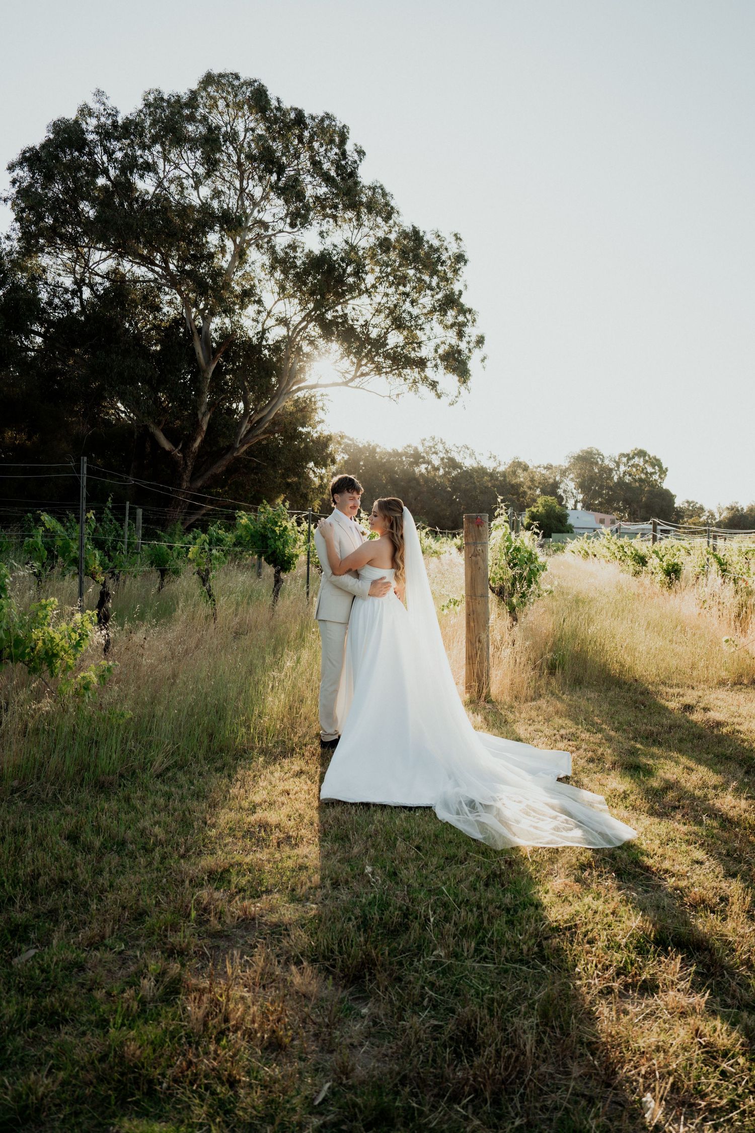 Bride and groom embrace at golden hour beside a vineyard, with a long white train trailing on the grass.